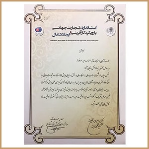لوح تقدیر کارآفرینی جهانی سایت موسسه آفبا تخفیف مشاوران 100 خرید دی وی دی های آفبا لیست قیمت دی وی دی افبا afbaedu
